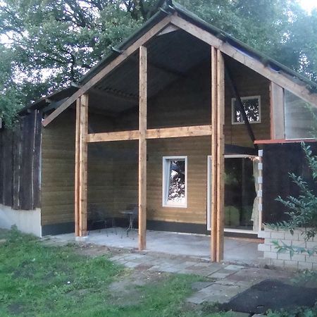 Apartment 'T Zwaluwnest Luttenberg Værelse billede